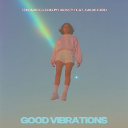 Мұқаба Tensnake & Bobby Harvey & Sarah Bird - Good Vibrations