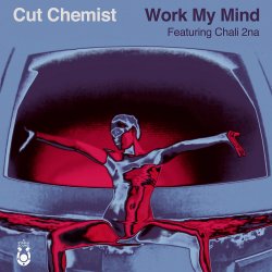 Мұқаба Cut Chemist - Storm