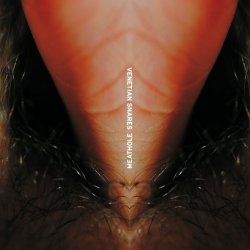Мұқаба Venetian Snares - Duffy