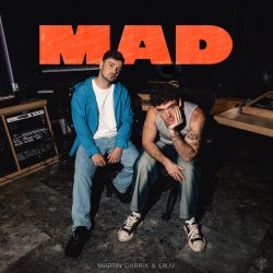 Мұқаба Martin Garrix & Lauv - MAD