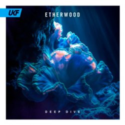 Мұқаба Etherwood - Deep Dive
