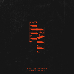Мұқаба Tommee Profitt & Sam Tinnesz - Daylight