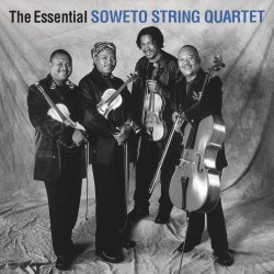 Мұқаба The String Quartet - Paint in black