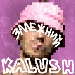 Мұқаба KALUSH - Залежний