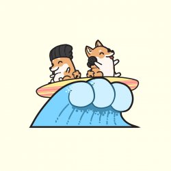Мұқаба Hyper Potions - Surf