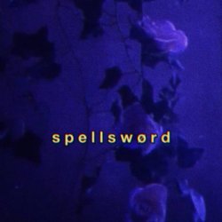 Мұқаба Spellsword - Portals