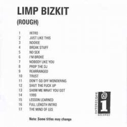 Мұқаба Limp Bizkit - Lesson Learned