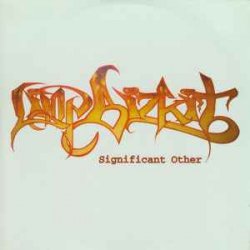 Мұқаба Limp Bizkit - 9 Teen 90 Nine
