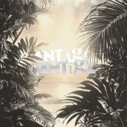 Мұқаба Repsaj - MONTAGEM CONTIGO (Speed Up)