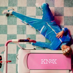Мұқаба Knox - D.N.A