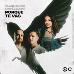 Мұқаба BASSMASSAGE & Sofía Martín - Porque Te Vas
