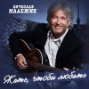Мұқаба Вячеслав Малежик - Лилипутик Вячеслав Малежик - Лилипутик