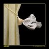 Мұқаба ADULT. - Does The Body Know ADULT. - Does The Body Know