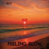 Мұқаба DJ JEDY - Feeling Slow DJ JEDY - Feeling Slow