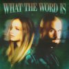 Мұқаба Jackie Hollander & Malóne & Baby Bash - What The Word Is Jackie Hollander & Malóne & Baby Bash - What The Word Is