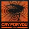 Мұқаба Ilyaa - Cry for You Ilyaa - Cry for You