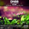 Мұқаба DJ Roots - Sorriso De Flor DJ Roots - Sorriso De Flor