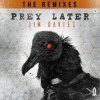 Мұқаба Jim Davies - Prey Later (Dex Remix) Jim Davies - Prey Later (Dex Remix)