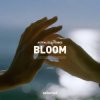 Мұқаба Astrality & FLORES - Bloom Astrality & FLORES - Bloom