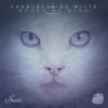 Charlotte De Witte - This