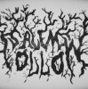 Мұқаба Salem - Hollow Salem - Hollow