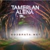 Мұқаба Тамерлан и Алёна - Возврата. NET Тамерлан и Алёна - Возврата. NET