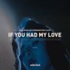 Мұқаба Paul Schulze & FÜNKENSTEIN & LEVII - If You Had My Love Paul Schulze & FÜNKENSTEIN & LEVII - If You Had My Love