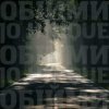 Мұқаба Океан Эльзы - Обійми (Jo unique Remix) Океан Эльзы - Обійми (Jo unique Remix)