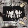 Мұқаба In Strict Confidence - Become An Angel (Broken Wings Mix) In Strict Confidence - Become An Angel (Broken Wings Mix)