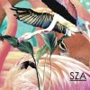 Мұқаба SZA - Castles SZA - Castles