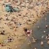 Мұқаба Нікіта Кісельов - Чайка Нікіта Кісельов - Чайка