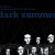 Мұқаба Dark Summer - Automatic swallows