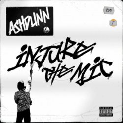 Мұқаба Ashdunn - Injure The Mic