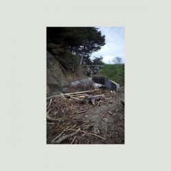 Мұқаба Mac DeMarco - Gualala2