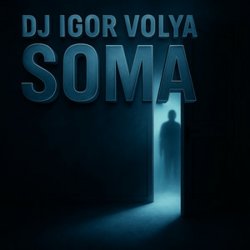 Мұқаба Dj Igor Volya - SOMA