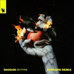 Мұқаба Shogun - Skyfire