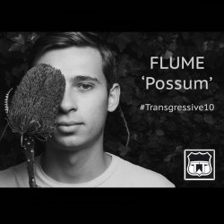 Мұқаба Flume - Possum