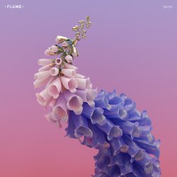 Мұқаба Flume - Skin LP Preview