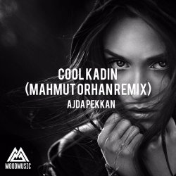 Мұқаба Ajda Pekkan - Cool Kadın (Mahmut Orhan Remix)