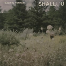 Мұқаба Shallou - Forget