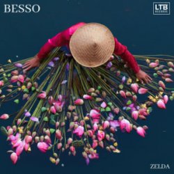 Мұқаба Besso - Zelda