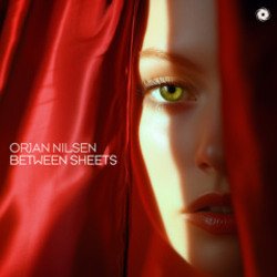 Мұқаба Orjan Nilsen - Between The Rays
