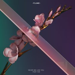 Мұқаба Flume - Never Be Like You (Feat. Kai)