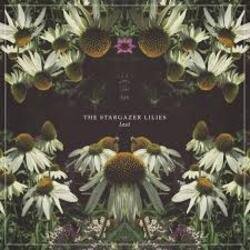 Мұқаба Lost World - Stargazer
