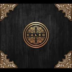 Мұқаба Kaleo - Rock 'n' Roller