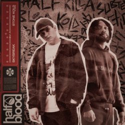 Мұқаба Skybreak & Subten - STONE KOLD