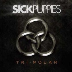 Мұқаба Sick Puppies - You're Going Down