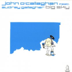 Мұқаба John O'Callaghan feat. Audrey Gallagher - Big Sky