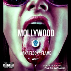 Мұқаба Waka Flocka Flame - O Let's Do It