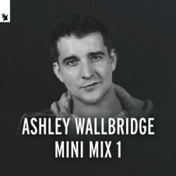 Мұқаба Ashley Wallbridge - Mumbai Traffic (Armin van Buuren's Edit)